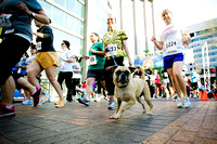 Crystal Run 5K Fridays 2012