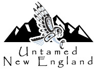 Untamed New England
